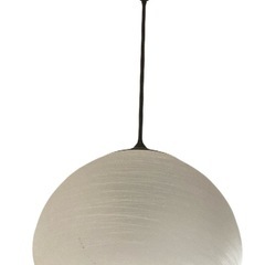 ペンダントライト/省スペース/玄関など/電球式の画像