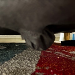 2人掛けソファ ベッドになります の画像