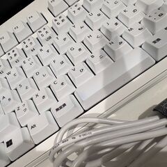 REALFORCE R3 R3HC21 [スーパーホワイト/スーパーホワイト]の画像