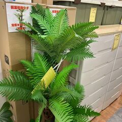 【リユ-スのサカイ広島石内店】新品！！人口観葉植物//クリ-ニング済み/HG-7823/広島市 家具　佐伯区 家具　南区 家具　西区 家具　東区 家具　中区 家具　安佐南区 家具　安佐北区 家具　安芸区 家具　府中町 家具　海田町 家具　熊野町 家具　坂町 家具　廿日市市 家具			 			の画像