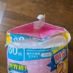 ポイズパッドの画像