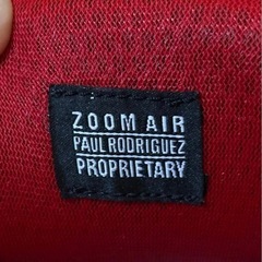 NIKE SB スニーカーの画像