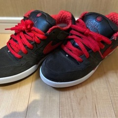 NIKE SB スニーカーの画像