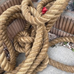 綱引きのなわ縄の画像