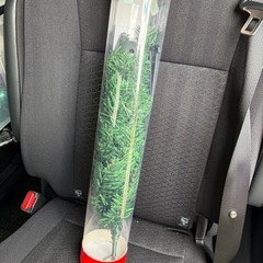 150センチクリスマスツリー追加画像の画像