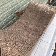 猫　爪研ぎ　2セットの画像