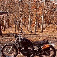 Kawasaki 250tr カスタム　改造多数 の画像