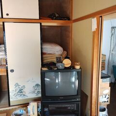 引き取り希望の画像