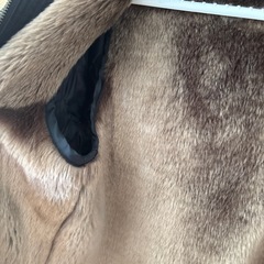 極美品トゥールノジーナ　アウターの画像