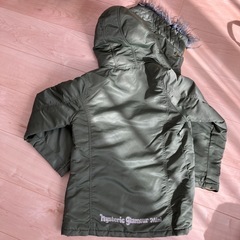 ヒスミニ　ダウンの画像