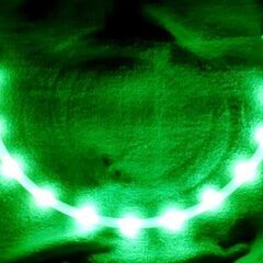 🐕‍🦺ROHS LEDリング 充電式 の画像