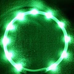 🐕‍🦺ROHS LEDリング 充電式 の画像