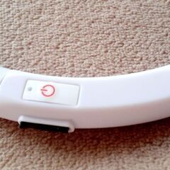 🐕‍🦺ROHS LEDリング 充電式 の画像