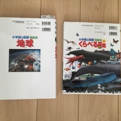 小学館の図鑑の画像