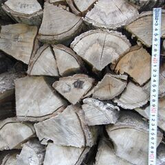 乾燥薪販売！！　　【コンパクトな薪ストーブ用】の画像