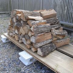 乾燥薪販売！！　　【コンパクトな薪ストーブ用】の画像