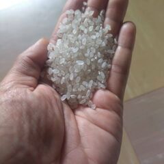 天日干しひとめぼれの画像