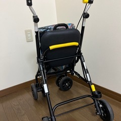 ウィズワン・シャオ　シルバーカーの画像