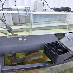 900水槽、流木、石の画像