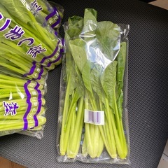 こまつな　4袋の画像