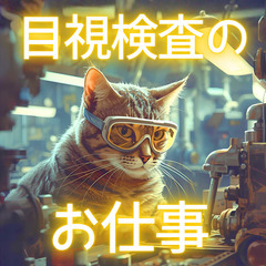 🔶丹荘駅から車で14分🔶段ボールの目視検査業務！月収32.2万～🔥学歴・経験不問🔥【求人ID：JM0498】の画像