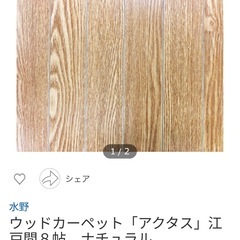 水野　ウッドカーペット8畳の画像