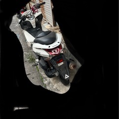 pcx125     jf28 事故車の画像