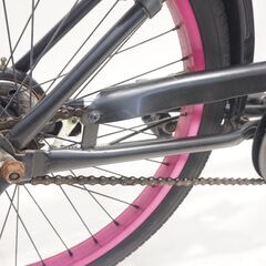 FEELING OF DECKS 年式不明 22インチ キッズバイクの画像