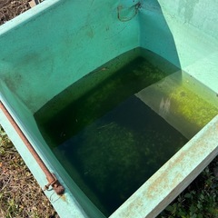 水貯まる箱の画像