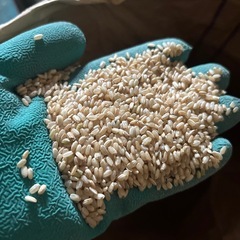 【期間限定値下げ！❗️】7年産　中米　玄米30kgの画像