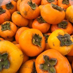 種無し柿むのうやく無農薬の画像