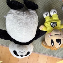 ぬいぐるみの画像