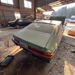 シルビアの画像