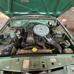 シルビアの画像