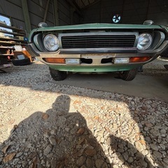 シルビアの画像