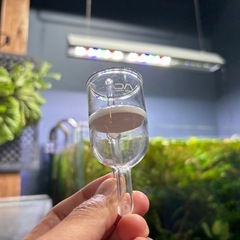 ADA/aqua design amanoの画像