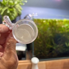 ADA/aqua design amanoの画像