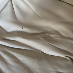 ローソファの画像