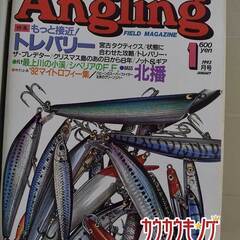 Angling アングリング ルアー&フライ 1993年 74-85号 12冊 オリジナル専用ファイルセットの画像