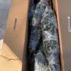 大きなクリスマスツリー　180cmの画像