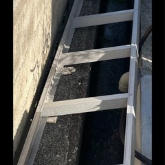 決まりましたの画像