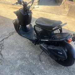 ホンダ　ズーマーの画像