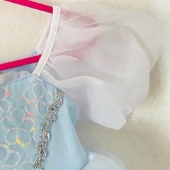 シンデレラ　100 仮装の画像