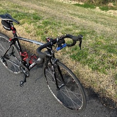 ペンナローラ（PENNAROLA） RC-4 美品　引取限定の画像