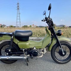 スズキ　バーディー50  　カスタムの画像