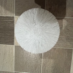 バスポリッシャー　　ブラシ&パッドの画像