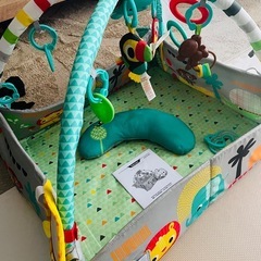 ブライトスターツ Bright Starts 5 in 1 ヨアウェイ・ボール・プレイジム　プレイマットの画像