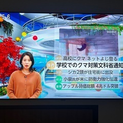 LGテレビ 55インチ  2022年製の画像
