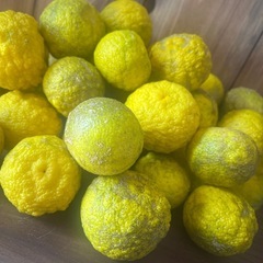 早い者勝ち♥️ ゆず 50個 ①の画像