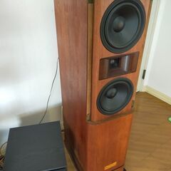 Pioneer S-1000Twin中古の画像